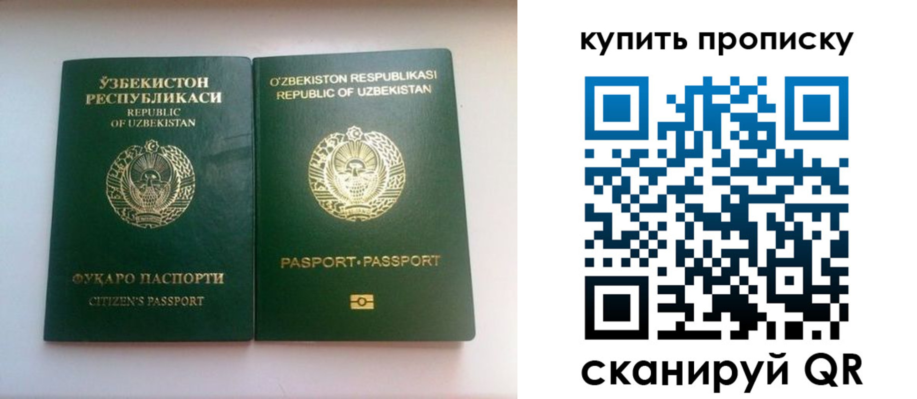 временная прописка в Благодарном